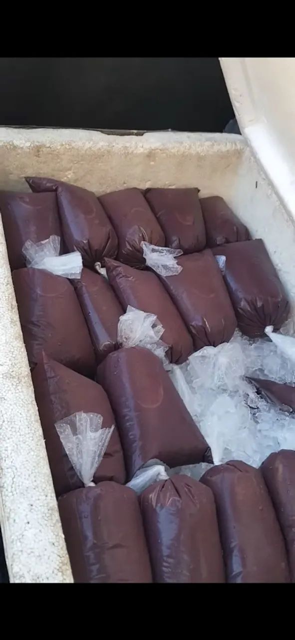 Açaí  puro do Amazonas