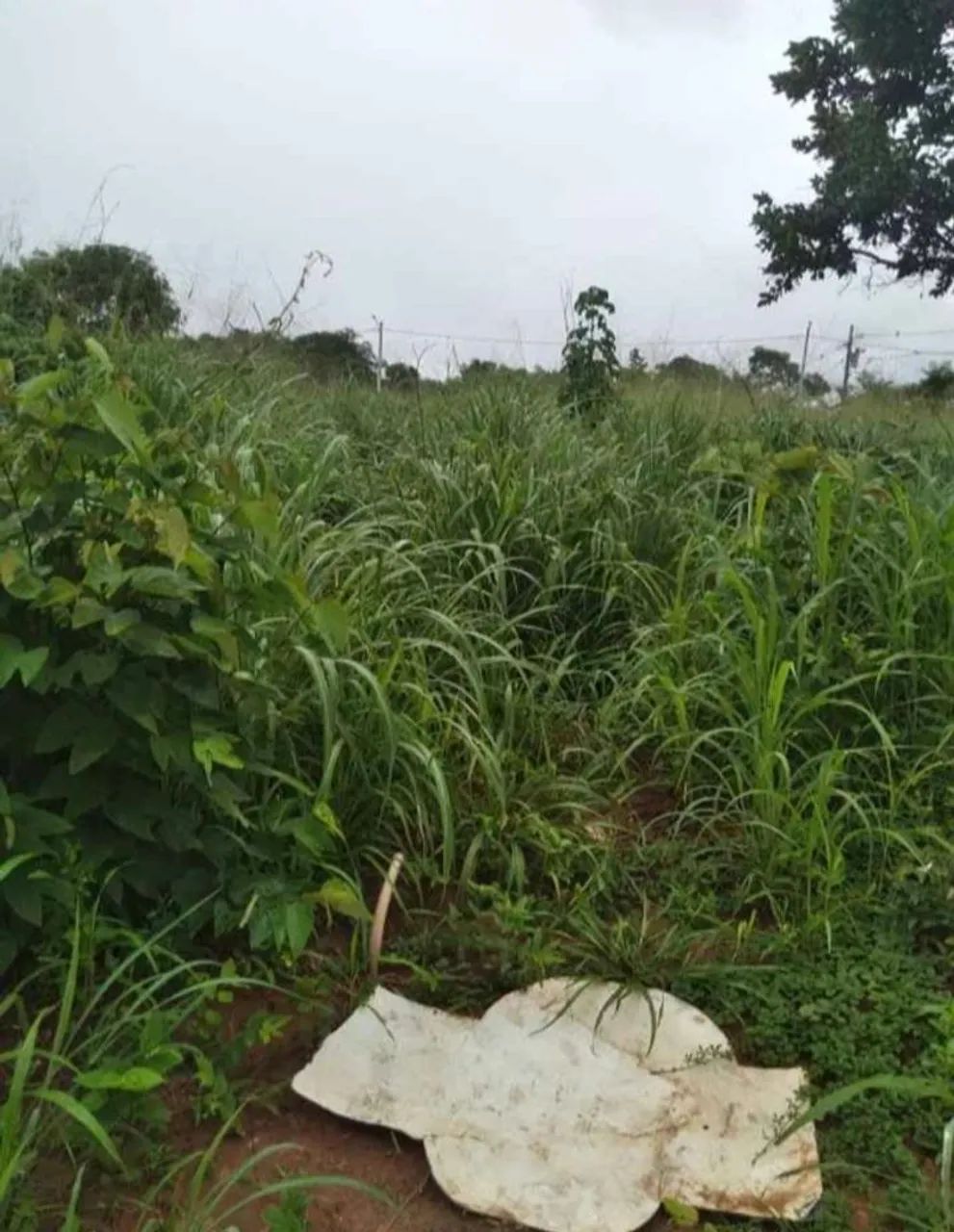 Vendo ou troco terreno no João de barro  - Foto 3