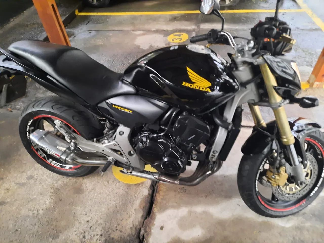  hornet   600
