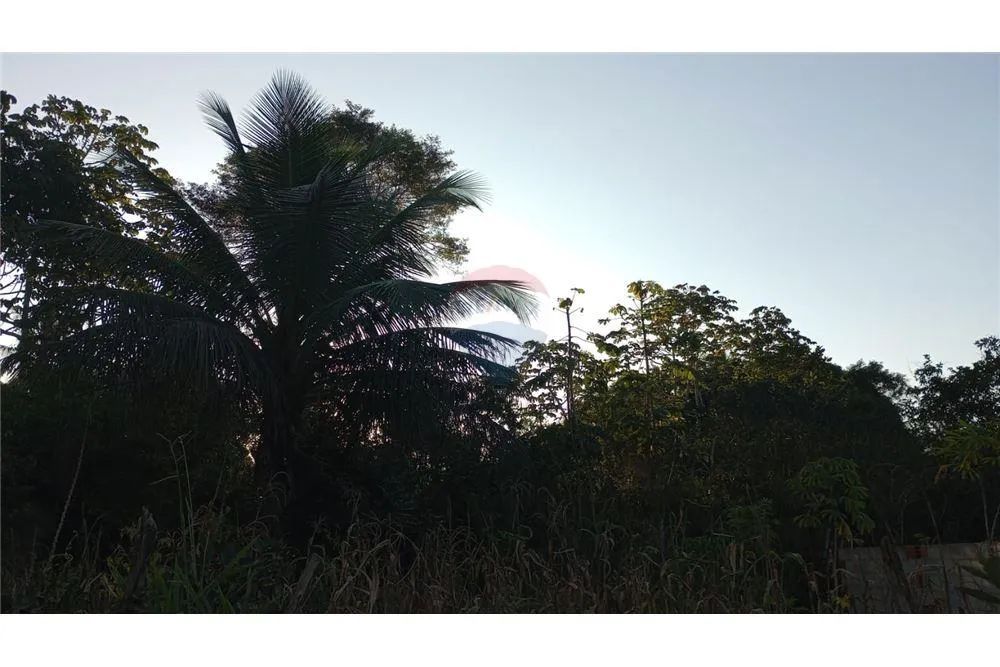 GRANDE ÁREA NO INÍCIO DA AV. LINHA VERDE (PRÓXIMA À FACULDADE ESTÁCIO) - Foto 3