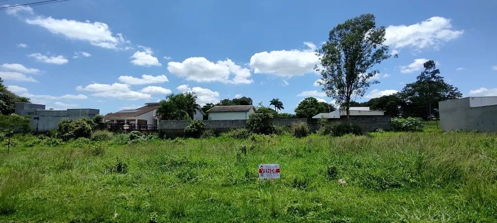 TERRENO 369m2 EM QUATIS  - Foto 4