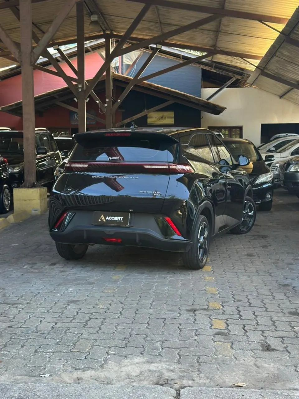 BYD Dolphin Mini (Elétrico) 2025 - Foto 3