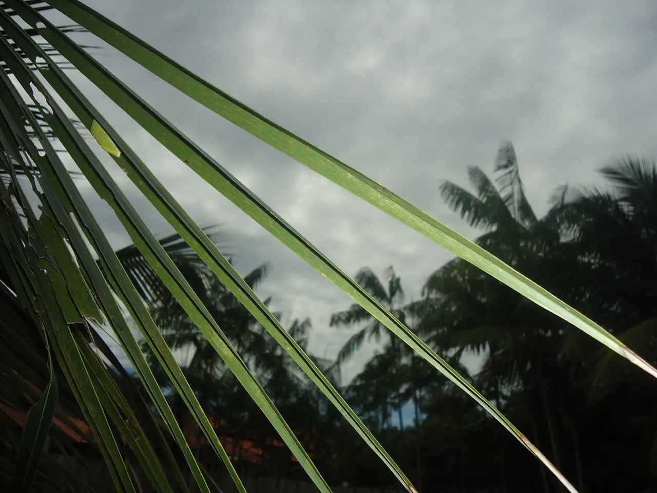 Câmera cybershot 14.1 mega pixels - Foto 5