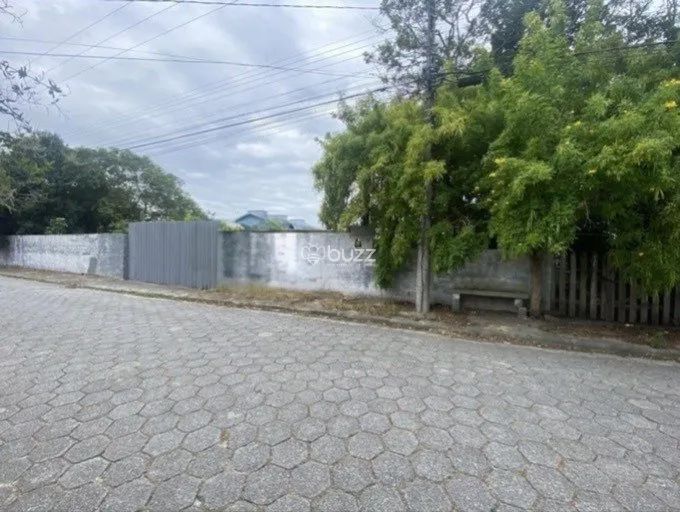 Terreno Amplo no Sul da Ilha! - Foto 5