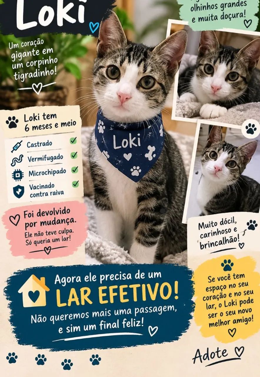 Loki para adocao responsavel