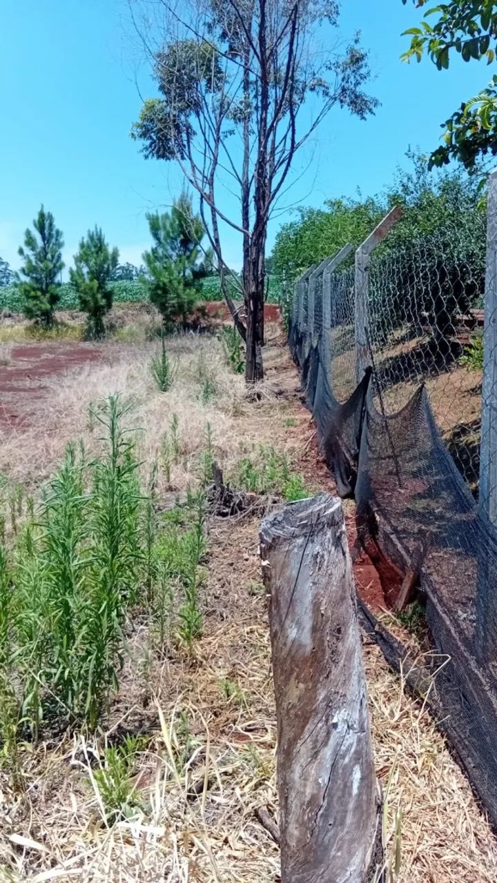 TERRENO EM AQUIDABAN - Foto 5