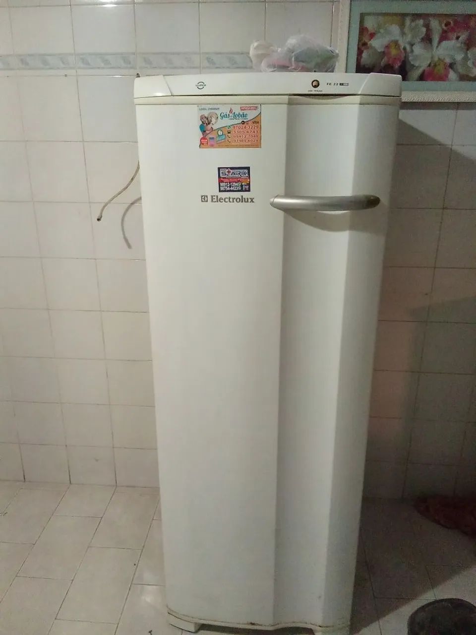 Freezer eletrolux F22