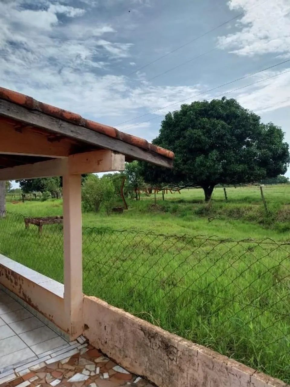 Sítio de 3 alqueires a venda em Terra Rica - PR - Foto 3