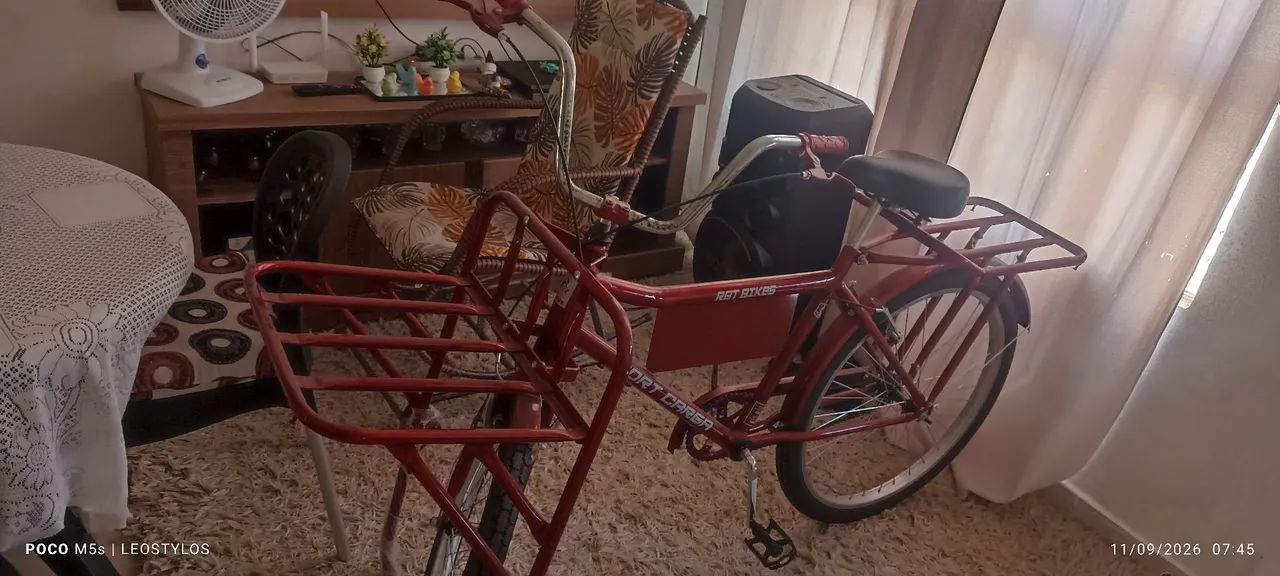 Bicicleta de carga  - Foto 2