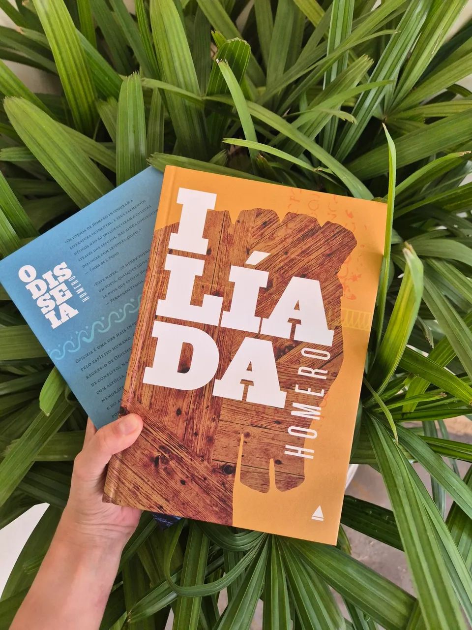 Ilíada e Odisseia em capa dura e a caixa (luva) - Foto 2