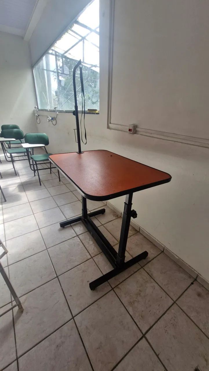 BANHO E TOSA (Material de Segunda) - Foto 2
