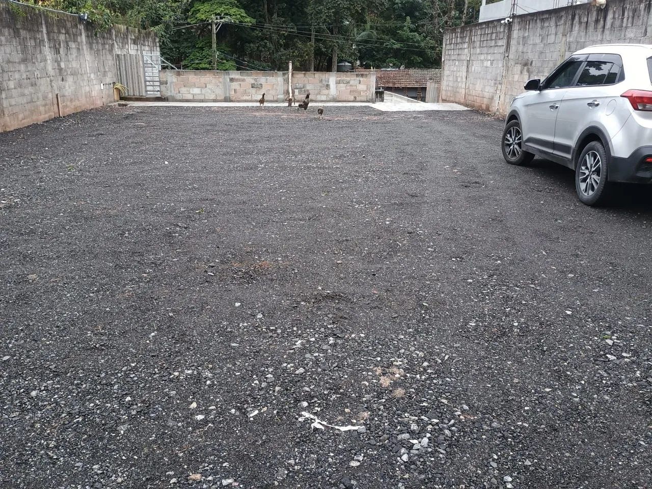 Terreno plano e murado 500 m² - Foto 2