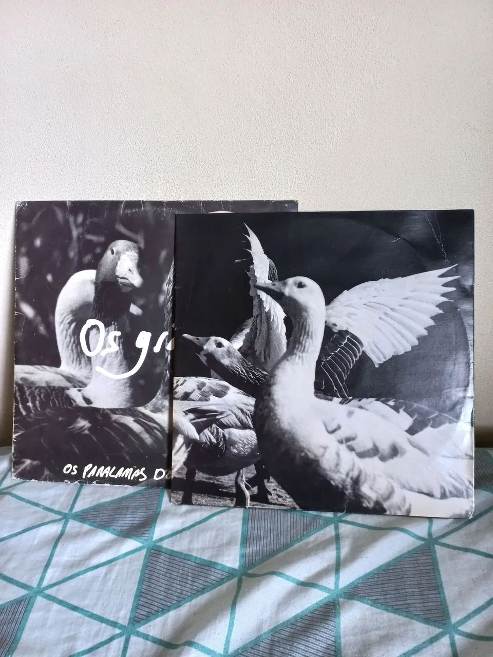 LP Os Paralamas do Sucesso - Os Grãos 1991 - Foto 4