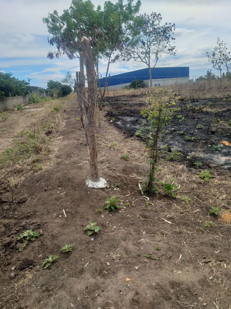 Terreno grande uma equitares de área ideal para sítio e chácara.  - Foto 3