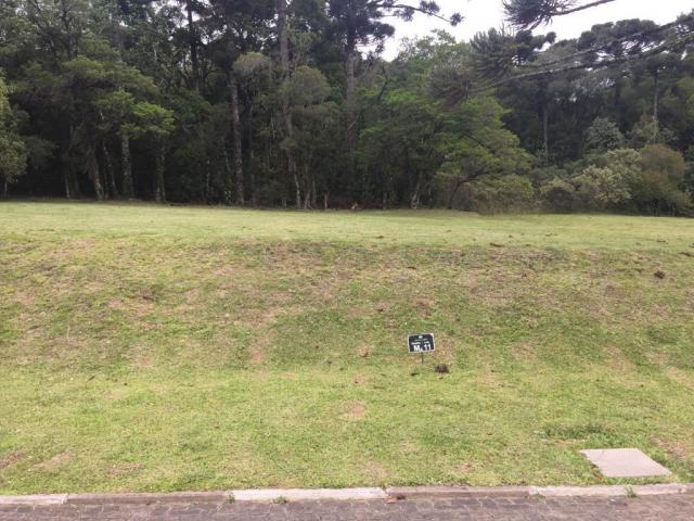 Terreno à venda, 720 m² por r$ 618.338,53 - centro - canela/rs