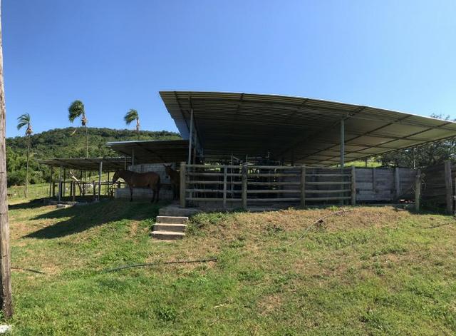Fazenda 25 Alqueires ( 121 hectares )-Varjão-GO porteira fechada - Foto 17