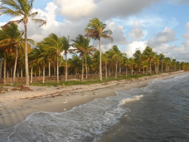 Gleba de Terras, Ilha de Tubarão, Camamu-BA - Foto 7