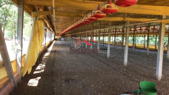 8051 | Sítio à venda em NÃO INFORMADO, MANDAGUAÇU - Foto 6