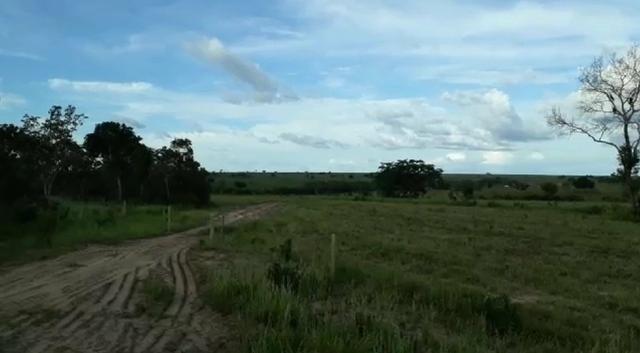 Fazenda de 853 hectares .400 hectares mecanizados . Colinas do Tocantins- TO - Foto 12