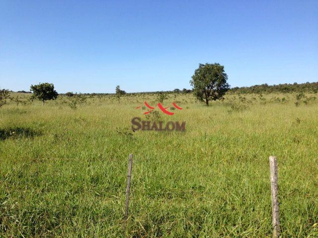 8051 | fazenda à venda em não informado, itiquira - Foto 7