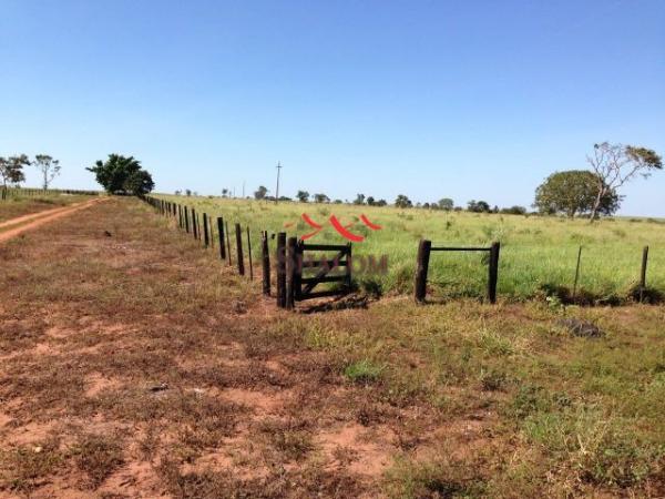 8051 | fazenda à venda em não informado, itiquira - Foto 8