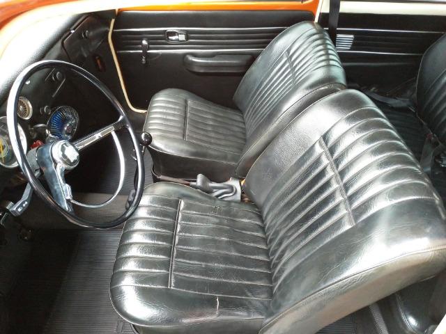 Variant 1973 Reliquia - Foto 14