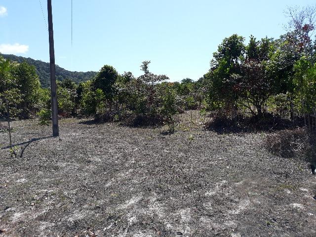Lote rodovia - ilheus-itacare a 900 metros da praia - Foto 6