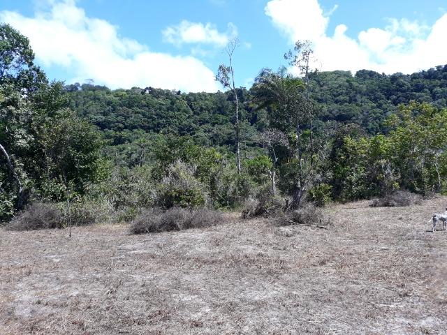 Lote rodovia - ilheus-itacare a 900 metros da praia - Foto 2