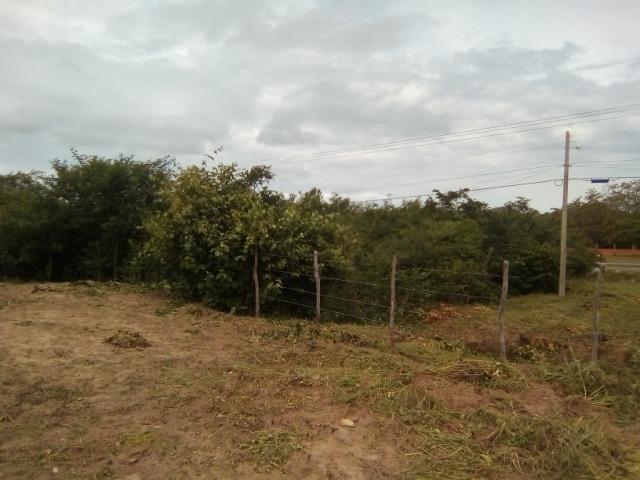 Vendo casa com 12000m2 terreno - Foto 4