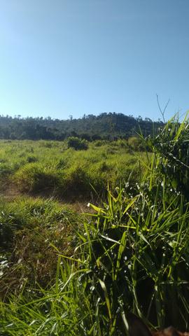 Imperdível vendo excelente Fazenda em Bom Jardim-Ma - Foto 11