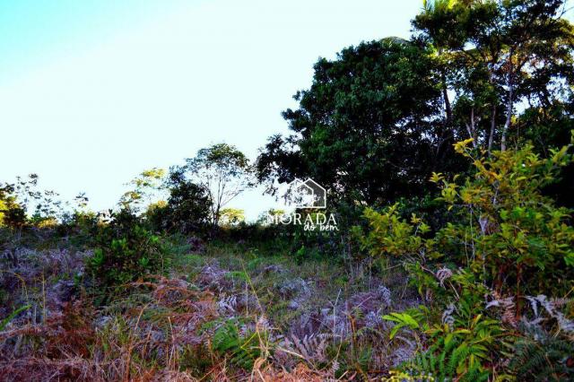 Terreno à venda, 40.920m² por R$ 690.000 - Barra Grande - Maraú/BA - Foto 14