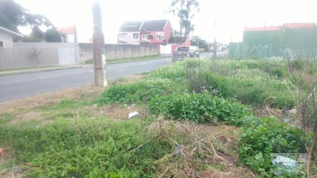 Terreno à venda com 0 dormitórios em Iguaçu, Fazenda rio grande cod:1893 - Foto 9