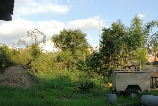 Terreno Bairro Agronomia