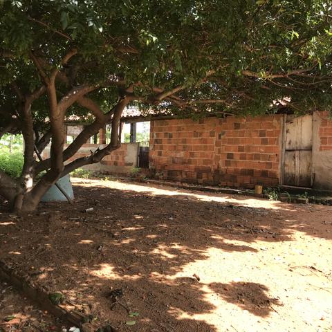 Sítio em Brejo Santo- CE - Foto 4