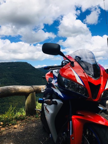 HONDA CBR 600 RR TRICOLOR