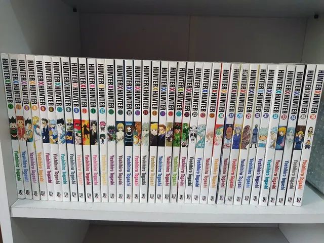 Depois de mais de um ano, Hunter x Hunter voltará a ser publicado