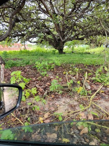 Terreno para sítio de esquina, duas frentes 46 km Fortaleza  - Foto 5