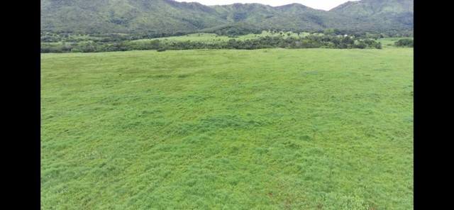 Excelente Fazenda com 180 Alqueires - Foto 2