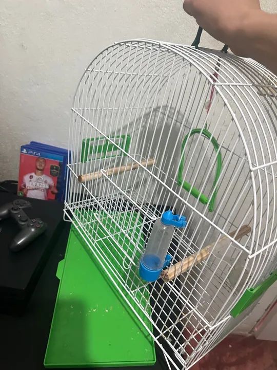 Gaiola grande  - Foto 5