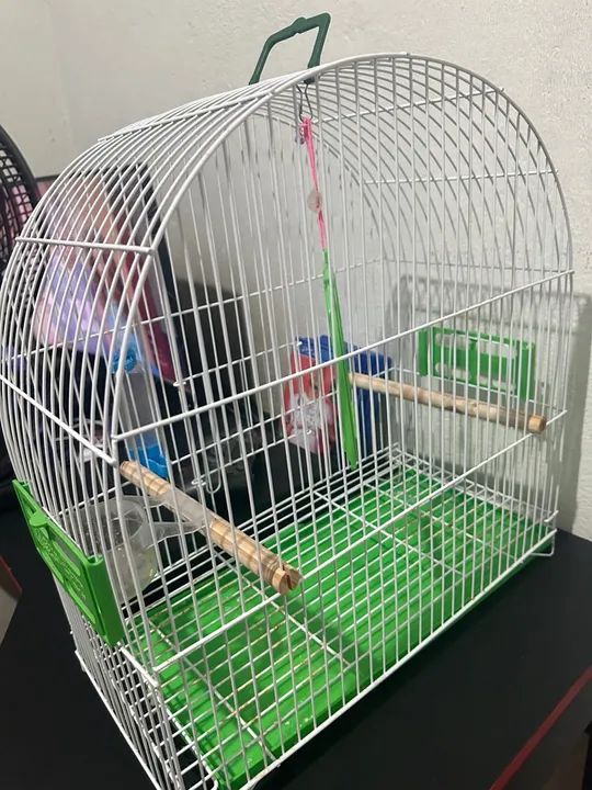 Gaiola grande  - Foto 3