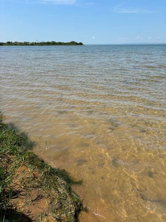 Vendo chácara na beira lago  - Foto 2