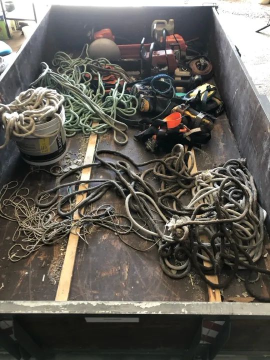 Poda e corte de árvores  - Foto 3