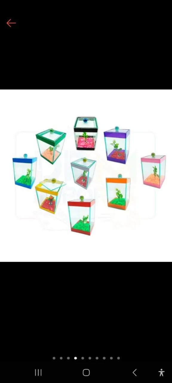 Aquários para decoração e criaçao