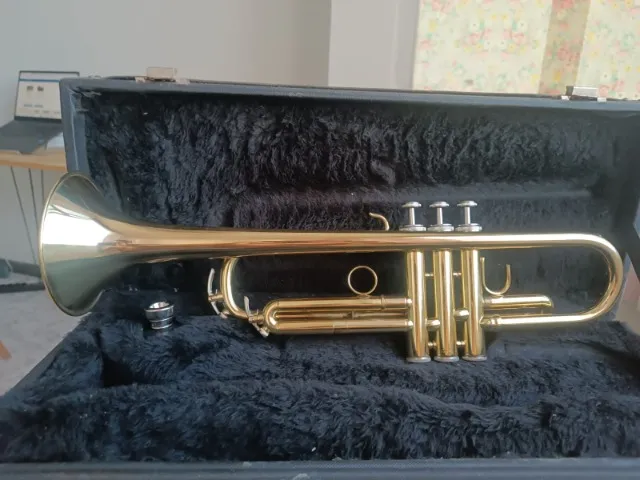 Trompete Bentley (Weril) Sib
