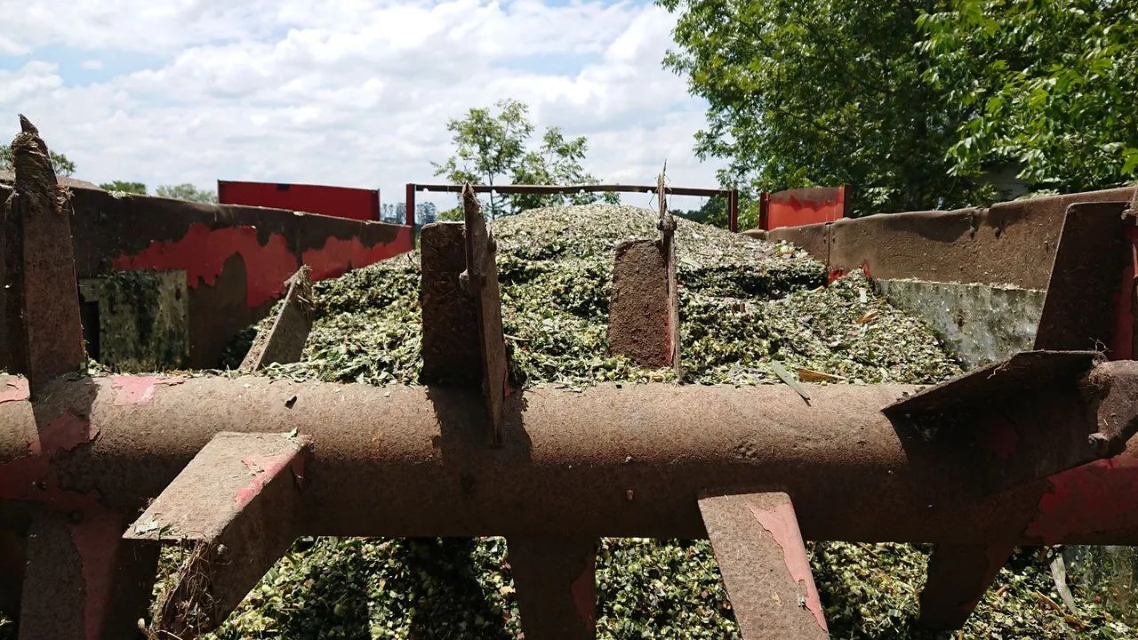 Vagão Forrageiro Nogueira VFN 8000 - Foto 5