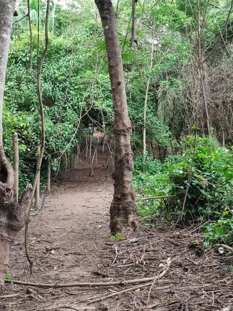 VENDE -SE CHÁCARA  - Foto 4