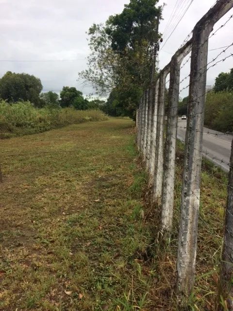 Melhor Área 11 Hectares Industrial, 241m de Beira, Pista Guabiraba, Instalação Empresas - Foto 4
