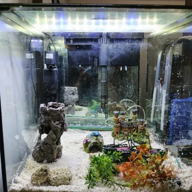  Vendo Aquário 50 X 50 X 50 - 125 Litros