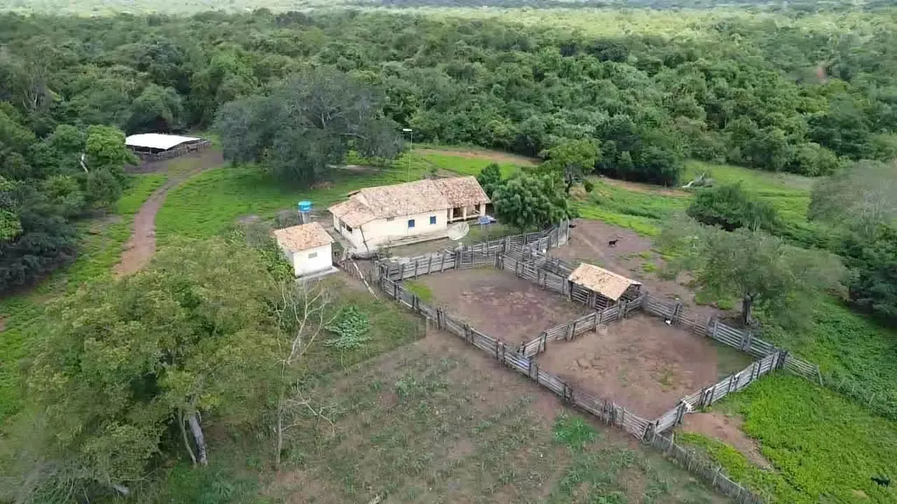 fazenda com 5 mil hectares no estado do Piauí são Miguel do tapuio