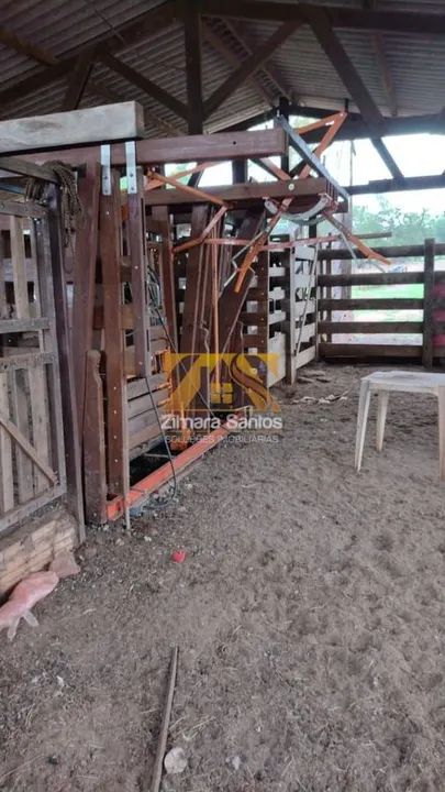 Fazenda, 32 alqueires - Zona Rural - Palmas/TO - Foto 9